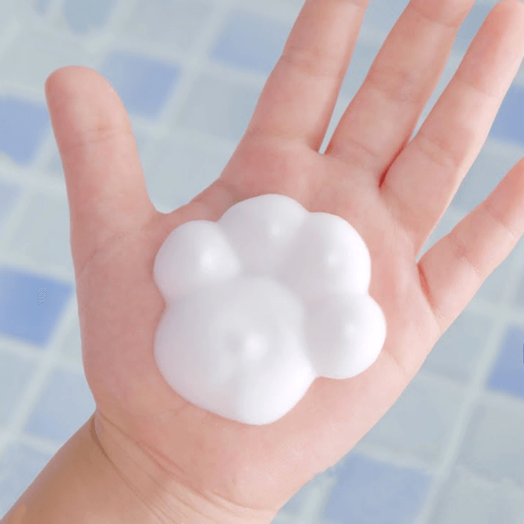 Kao Biore Foam Stamp Hand Soap Paw