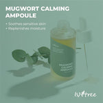 ISNTREE  Mugwort Calming Ampoule 50ml