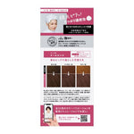 KAO Liese Bubble Hair Color COOL PINK