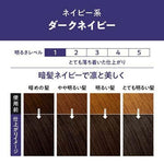 KAO Liese Bubble Hair Color DARK NAVY