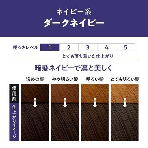 KAO Liese Bubble Hair Color DARK NAVY