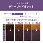 KAO Liese Bubble Hair Color DEEP VIOLET