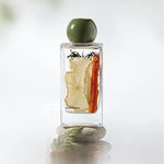 SOYAMOO Fragrance Diffuser Apple Cinnarnon