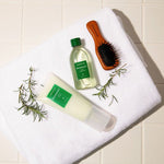 AROMATICA Rosemary Scalp Scaling Trial Kit scrub shampoo and root enhancer