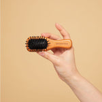 AROMATICA Rosemary Scalp Scaling Trial Kit wooden scalp brush