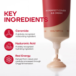 MISSHA M Perfect Cover BB Cream Pro texture swatch
