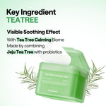 MEDIHEAL Teatree Trouble Pad tea tree leaf water key ingredient