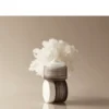 IM FROM  Mushroom Collagen Cream 50ml