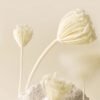 HAPPY BATH Baby Powder Body Wash 500g