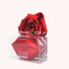 KOCOSTAR Lip Mask Rose 20 Patches