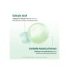 DERMATORY Pro Trouble Pore Clear Pad 70 Pads