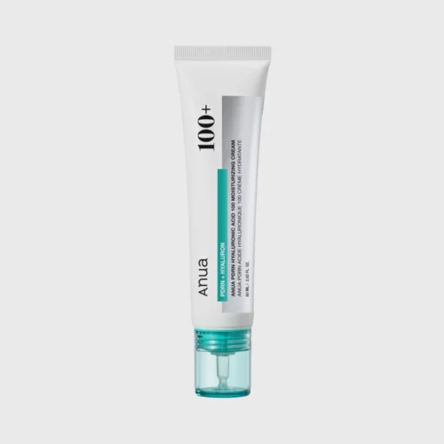 Anua PDRN Hyaluronic Acid 100 Moisturizing Cream 60ml