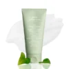 ABIB Mousse Nettoyante Feuilles de Houttuynia