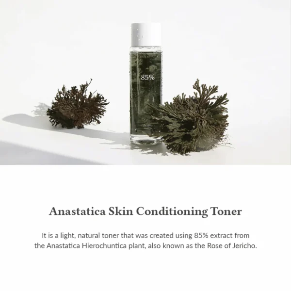 DR. ALTHEA Tonique Anastatica 250ml